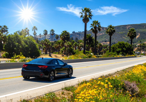 Black sedan driving on a sunny road lined with palm trees, mountains, and blooming yellow flowers.