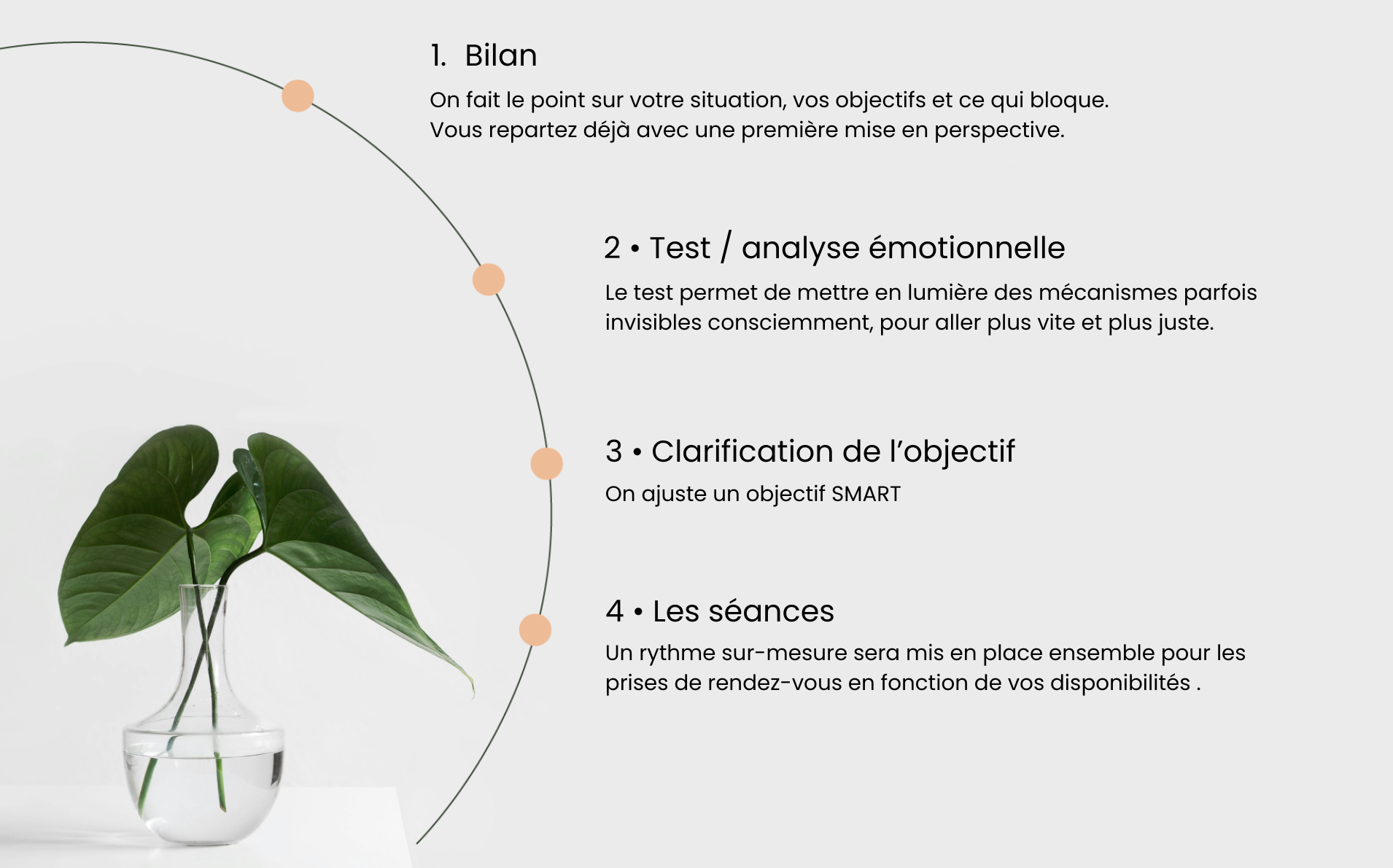Monstera en pot à côté d'une chronologie en 4 étapes sur fond clair
