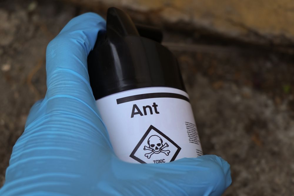 Pest Extermination