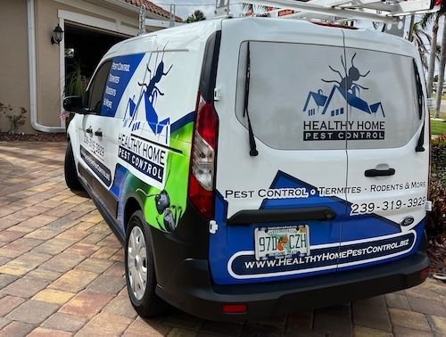 Pest Control in Cape Coral, Florida