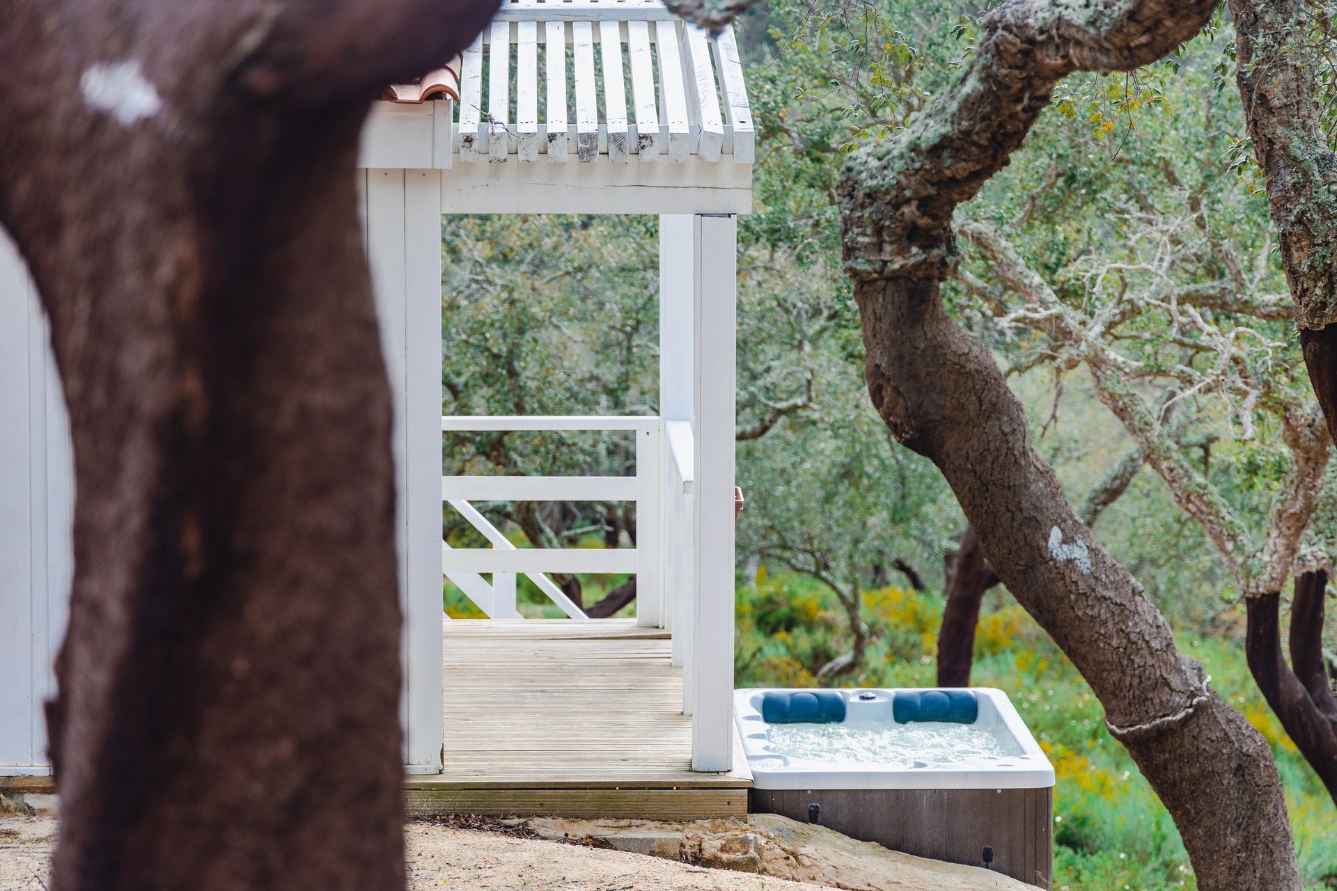A white gazebo is surrounded by trees and a pool.