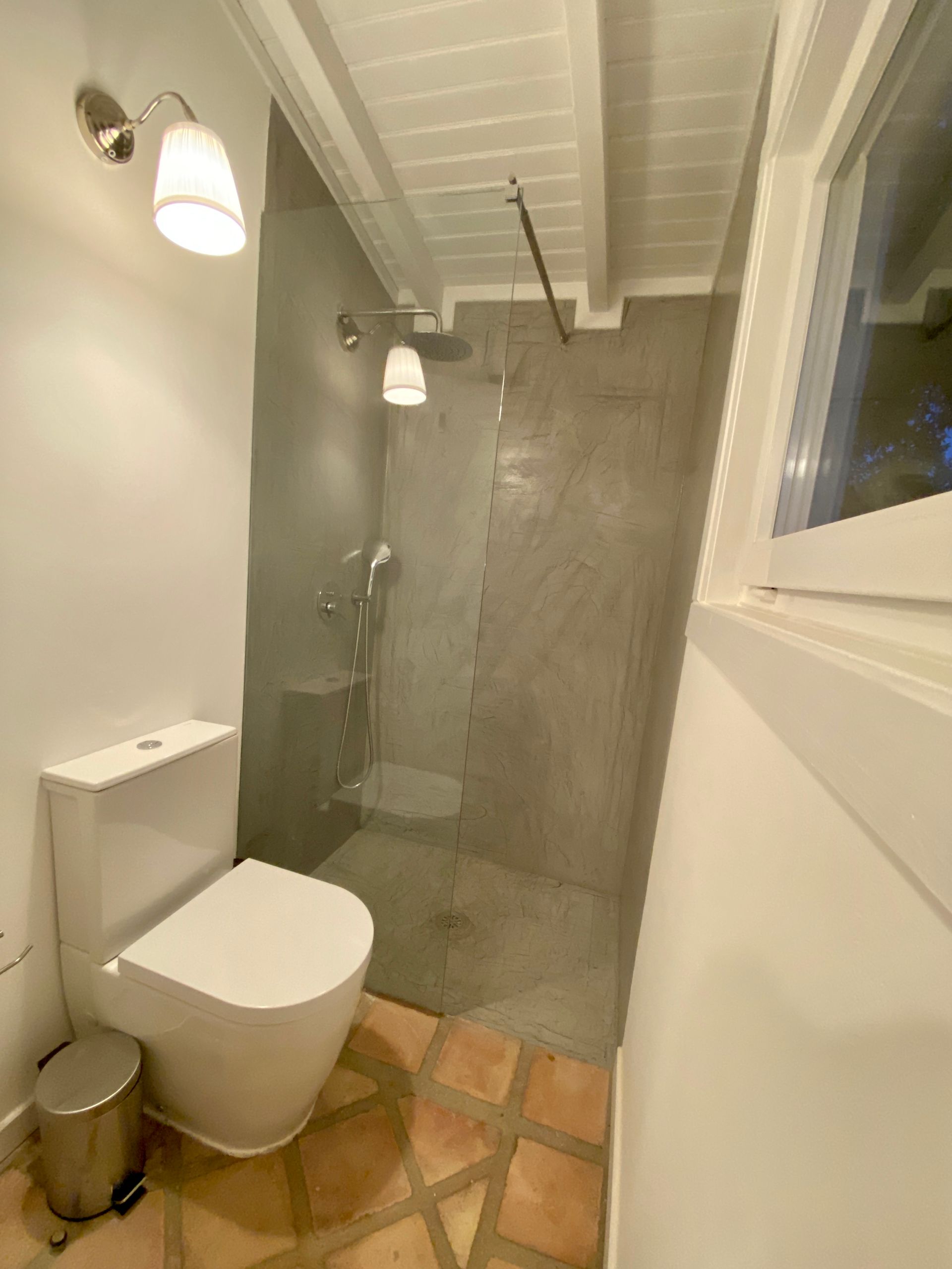 A bathroom with a toilet and a walk in shower.