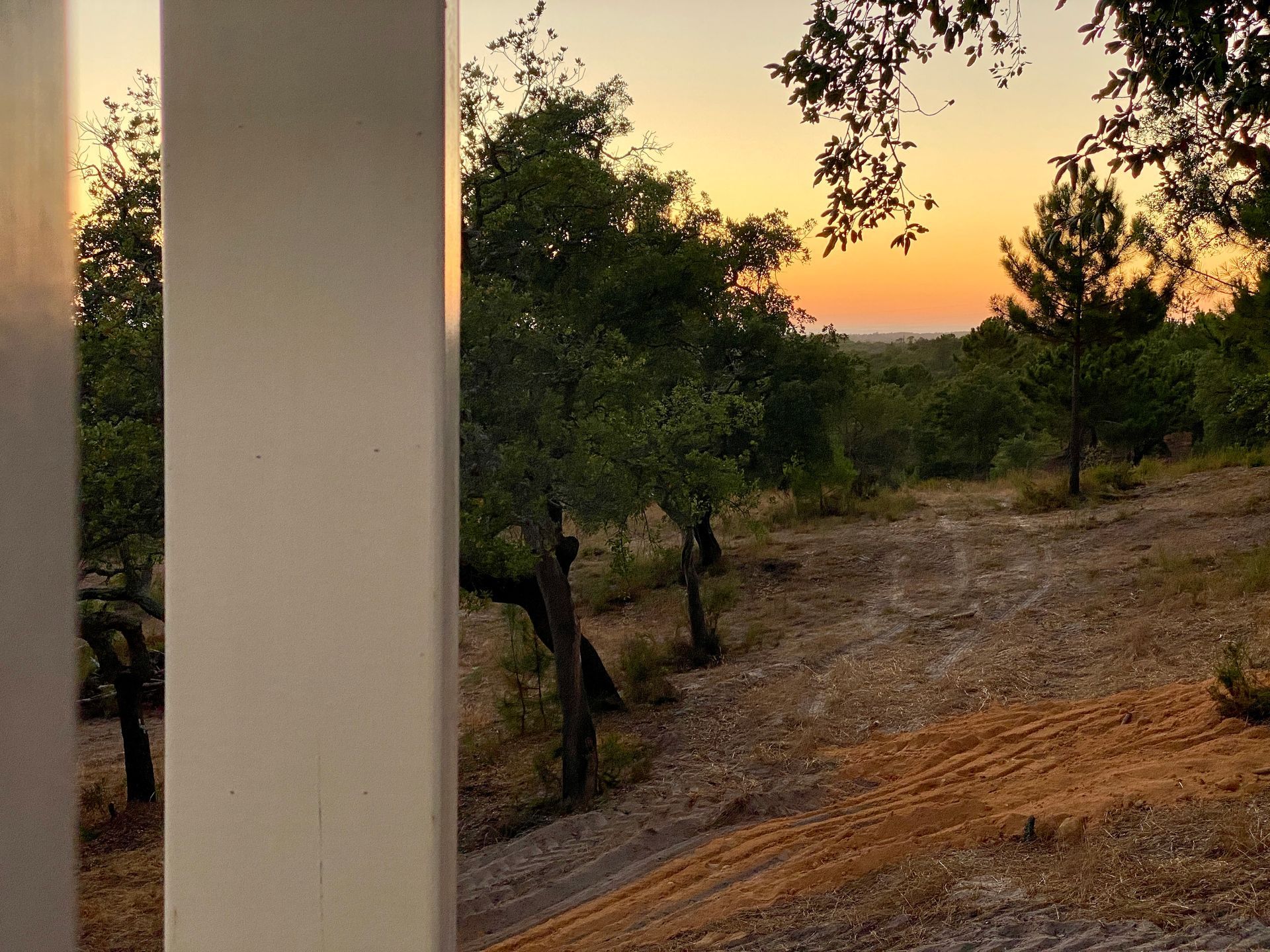 A sunset over a dirt road with trees in the background