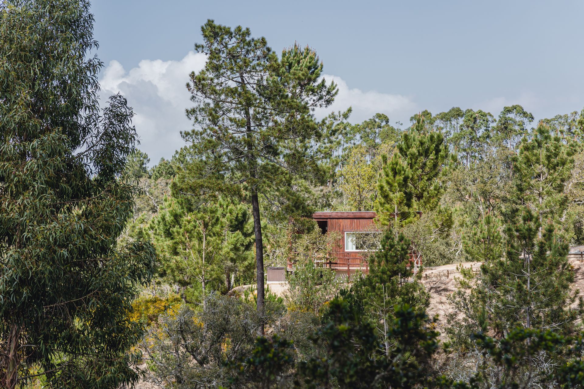 A small house is surrounded by trees in the middle of a forest.