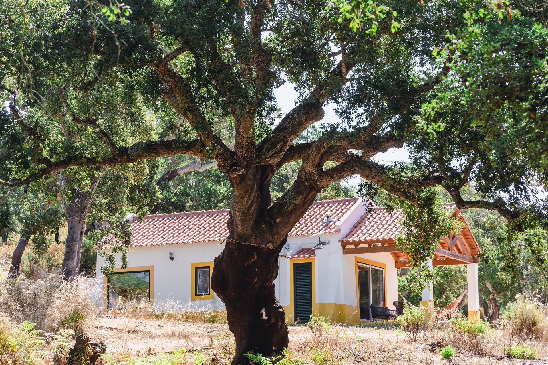 A white house with a tree in front of it.