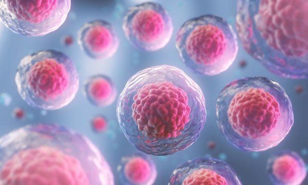 Stem Cells or Snake Oil