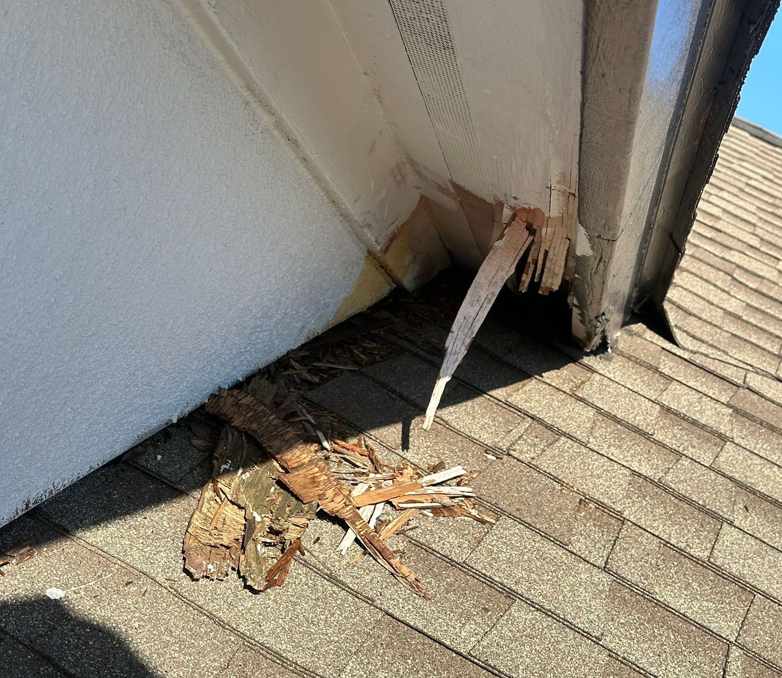 Austin Roofing and Construction Critter Damage