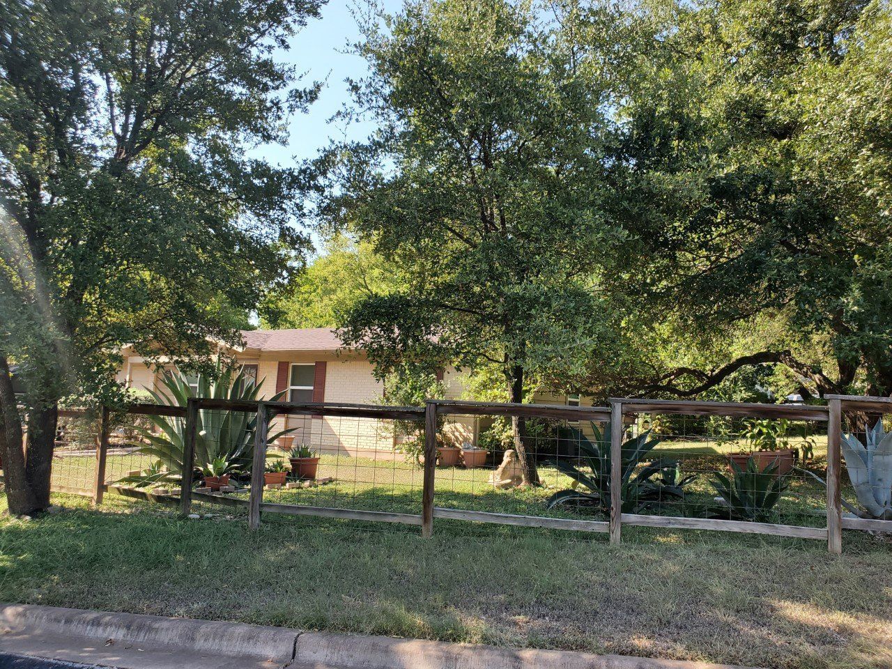 Small house behind a wooden fence, surrounded by large leafy trees in a sunny yard.