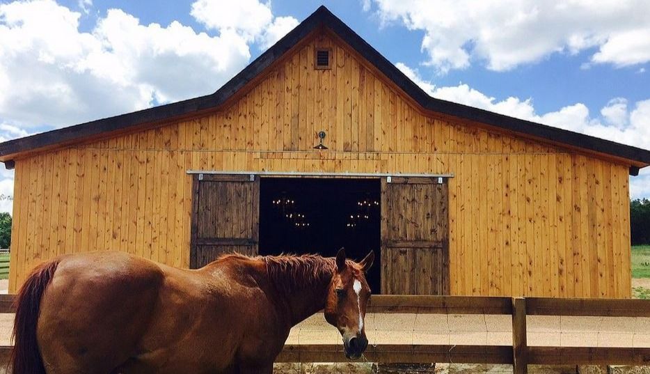 Brown horse standing in front of a yellow wooden barn under a blue sky