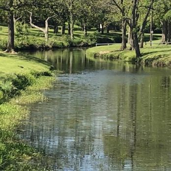 A calm park pond reflecting trees and green grass on a sunny day