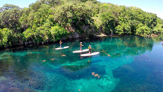 People paddling stand-up boards on clear turquoise water near a lush green tropical shoreline