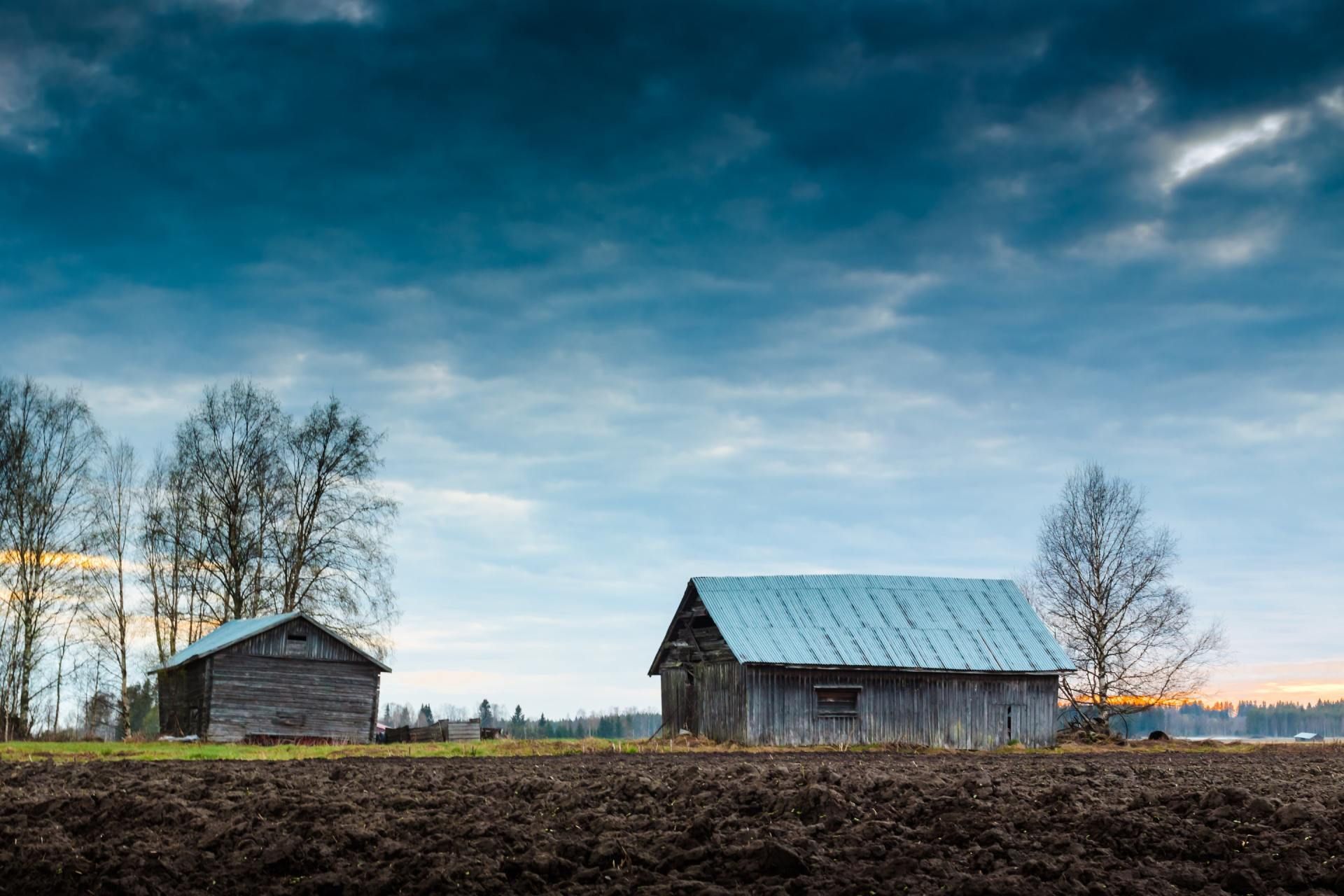 Two rustic barns in a field under a dramatic blue sky at sunset