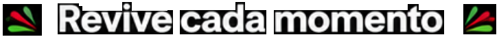 Logotipo con icono de hoja verde y roja y el texto en español “Revive cada momento” sobre fondo blanco.
