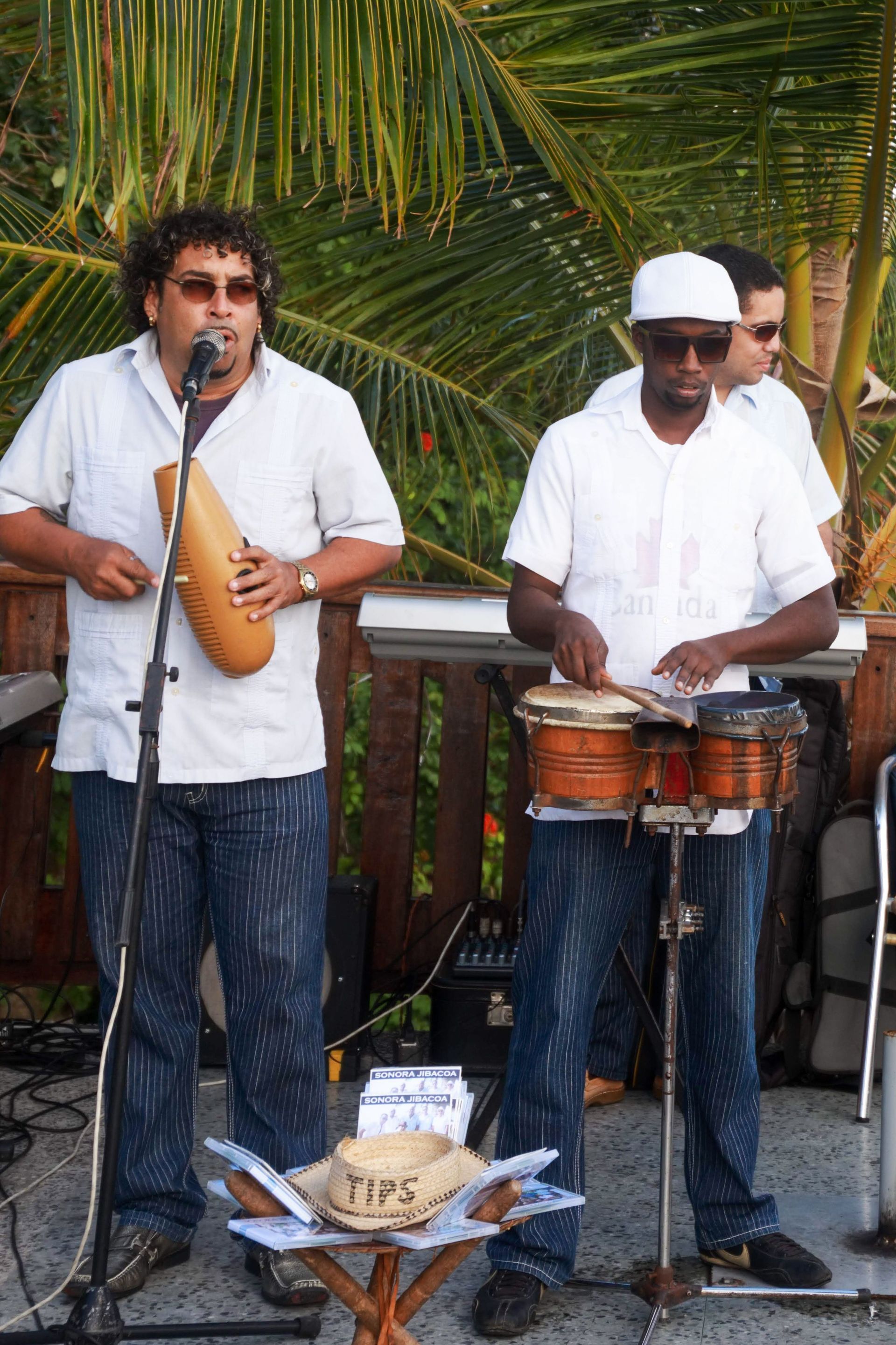 Bandas Regionales