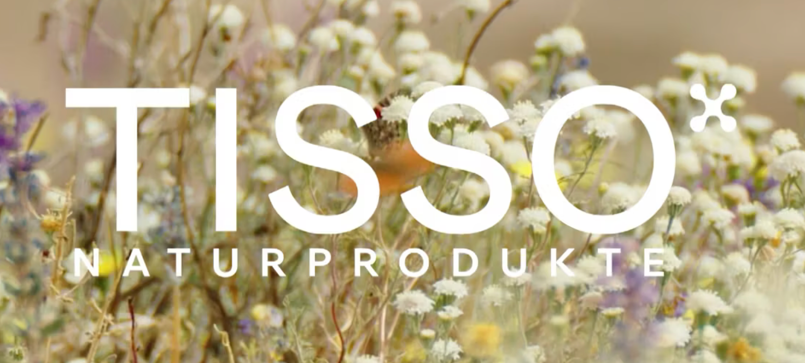 Het logo van TISSO Naturprodukte boven een wazig veld met witte bloemen.