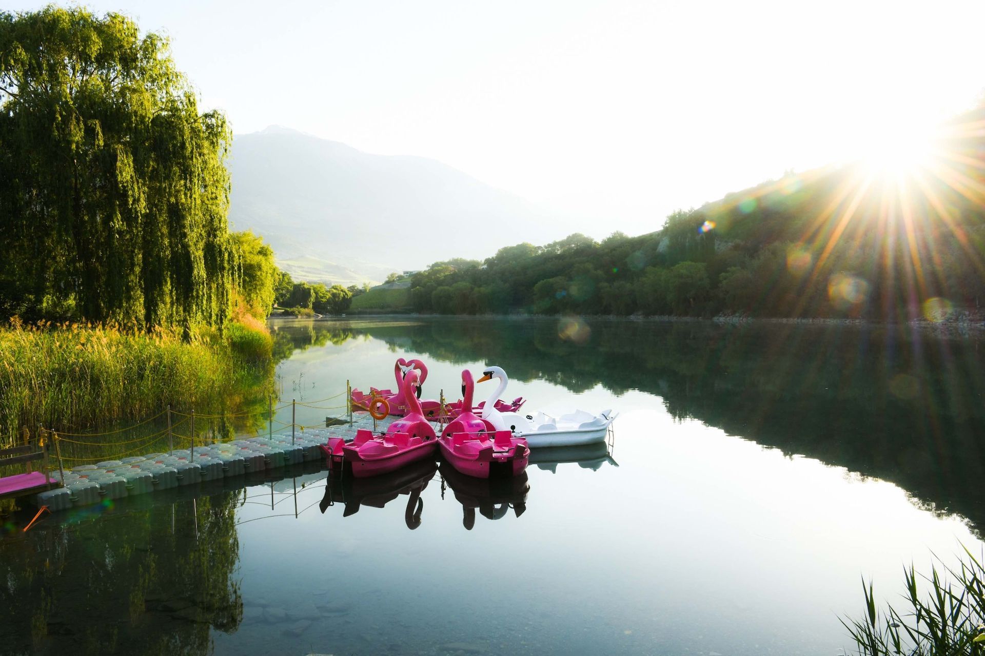 Des pédalos roses sur un lac calme au lever du soleil, avec des arbres et des montagnes se reflétant dans l'eau.