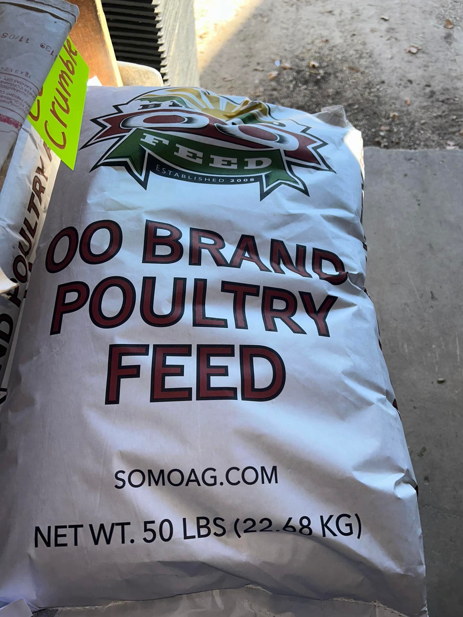 Bag of
