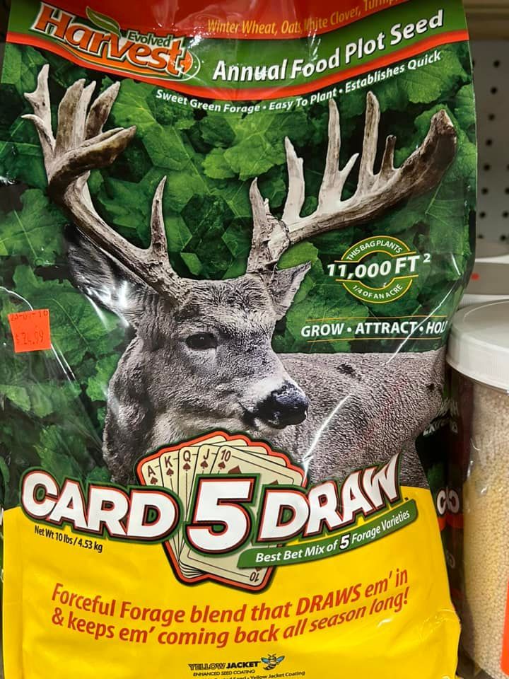 Bag of