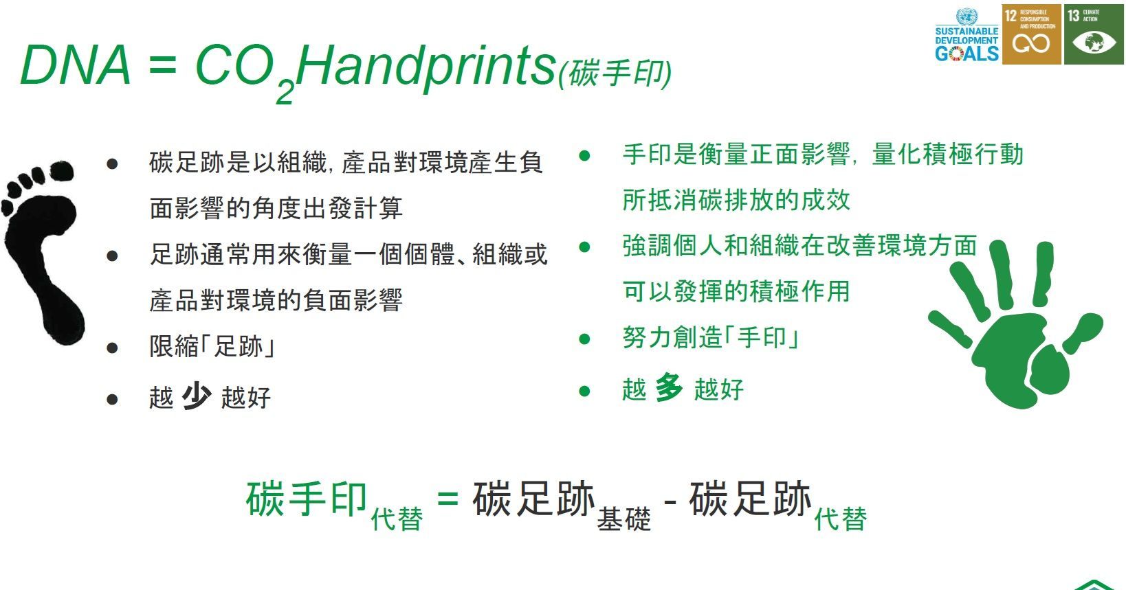 圖表顯示DNA相當於二氧化碳的手印。底部有腳印和手掌圖標，以及列表和公式。