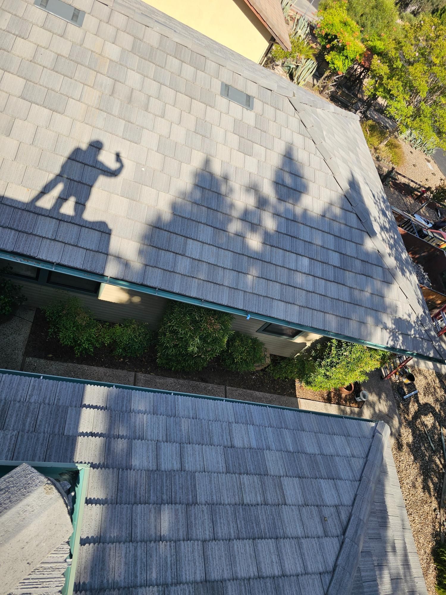 Shadow of a person on a sunlit stone walkway beside trees and shrubs