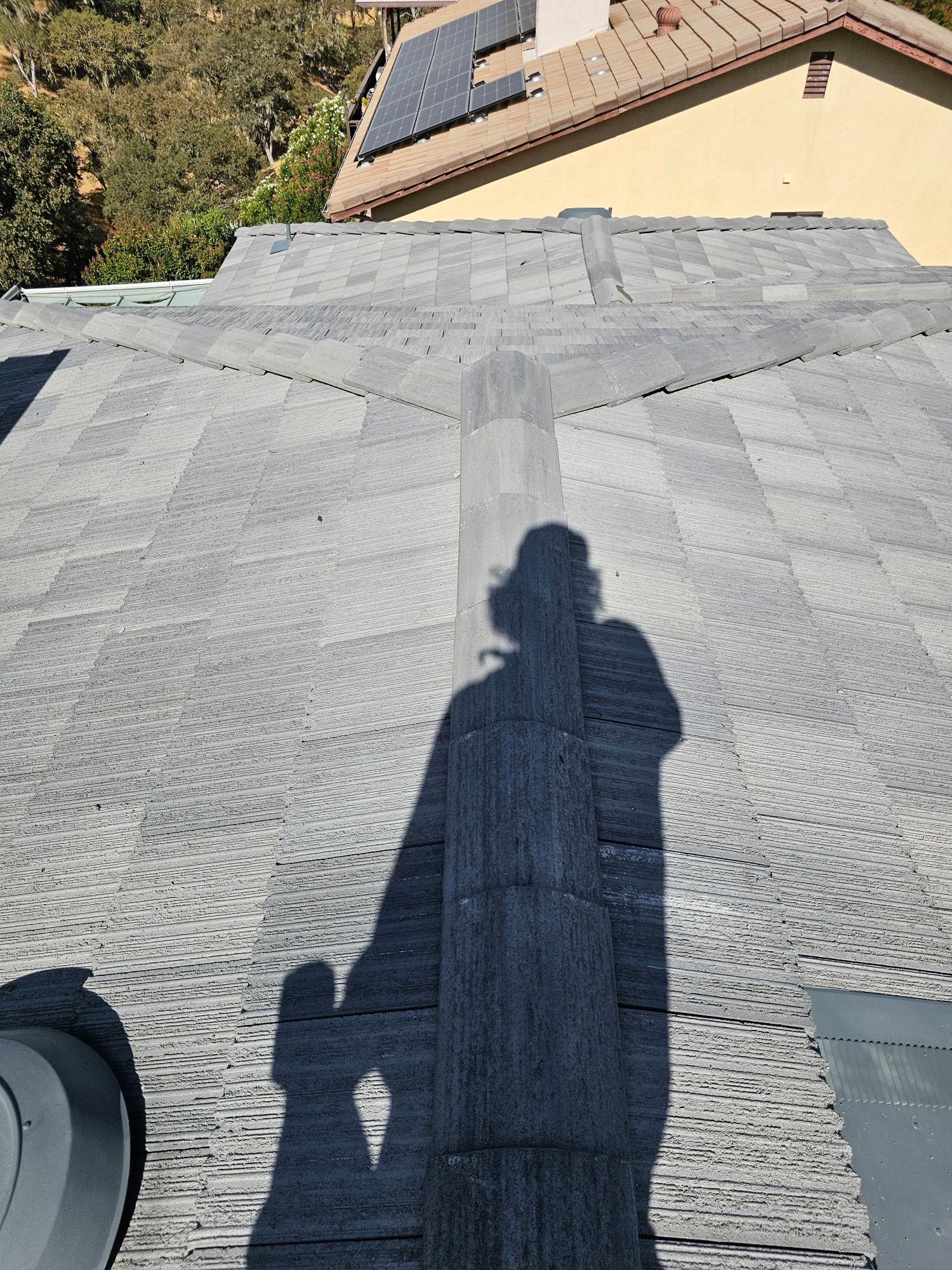 Shingled roof with a person’s shadow, rooftop vent, and a neighboring house in the background