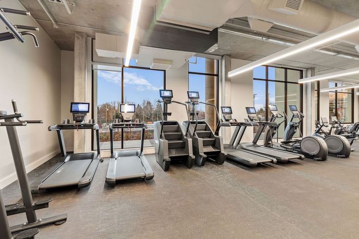 Modern gym cardio area with treadmills, ellipticals, and large windows letting in natural light