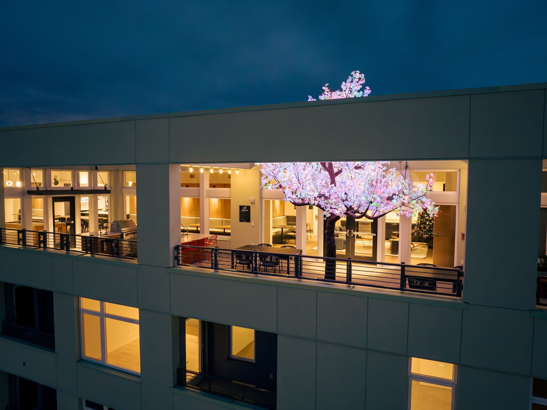 Modern building rooftop terrace at dusk with a glowing pink-blossomed tree and warm interior lights