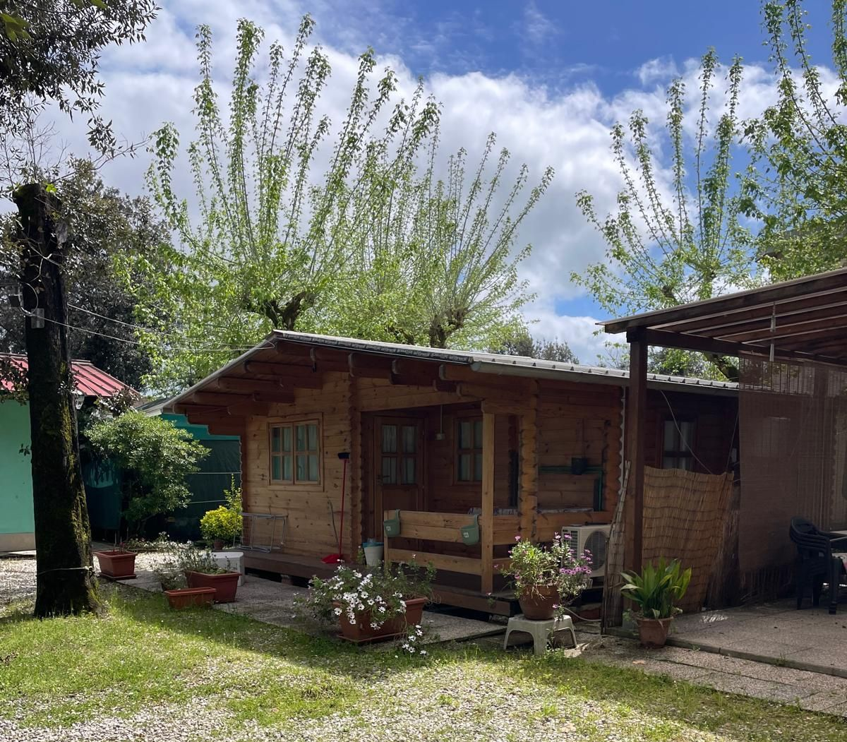 Una baita di legno con una veranda, circondata da piante in vaso e alberi sotto un cielo azzurro con nuvole bianche.