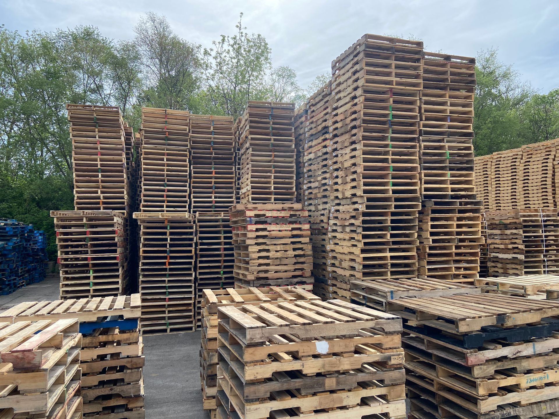 A lot of wooden pallets are stacked on top of each other in a yard.
