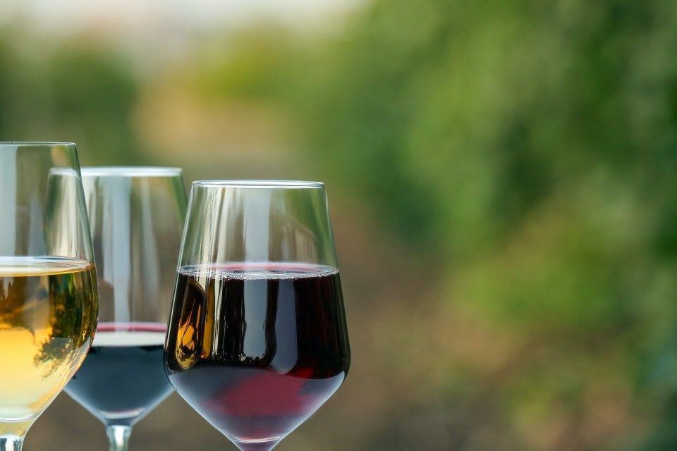 calici di vino
