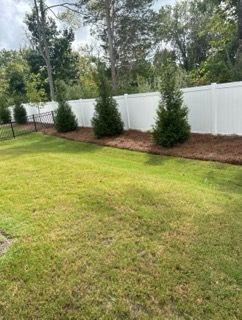 Backyard with green lawn, white fence, and a row of small evergreen trees along mulch bed