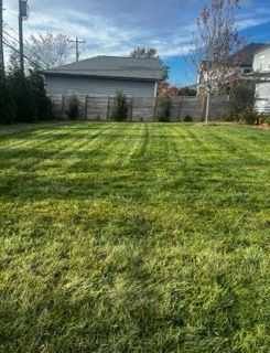 Backyard lawn with long shadows, bordered by trees and a gray shed under a blue sky.