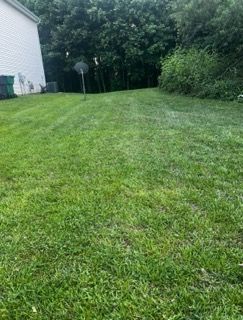 Grassy backyard beside a white house, bordered by dense trees and shrubs.