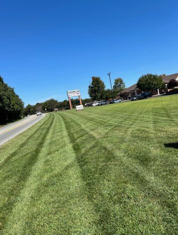 Wide grassy roadside median beside a street under a clear blue sky, with buildings and trees in the distance.