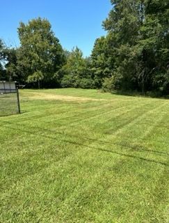 Freshly mowed green lawn with striped grass, bordered by trees under a clear blue sky