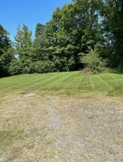 Grassy clearing with trees along the edge under a bright blue sky, gravel in the foreground.