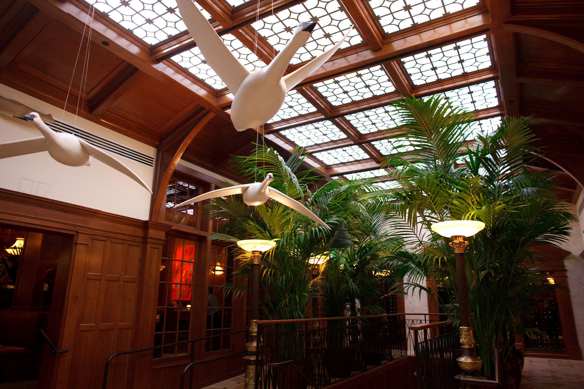 A room with a lot of plants and birds hanging from the ceiling