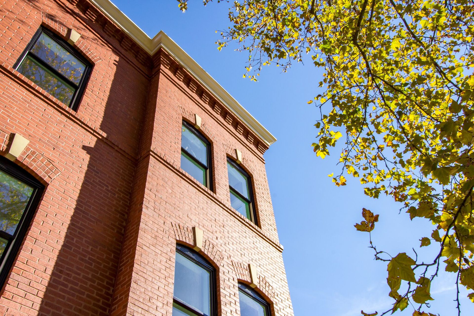 A brick building with a tree in the foreground and a blue sky in the background.