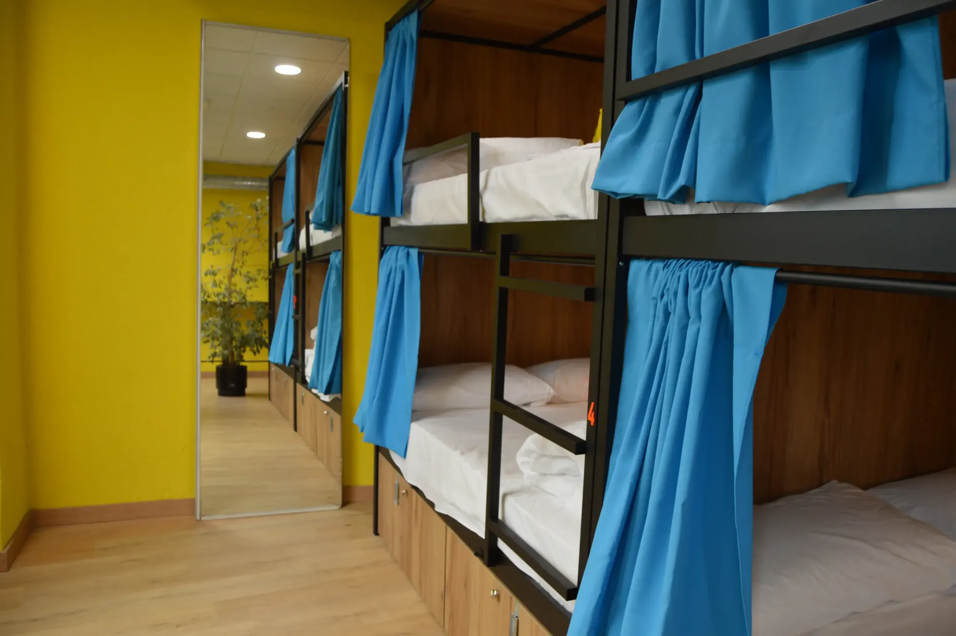Literas con cortinas azules en una habitación de albergue. Pared amarilla, paneles de madera, espejo y una planta.