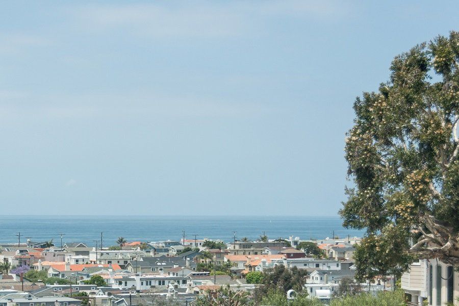 A view of a city with a tree in the foreground and the ocean in the background.