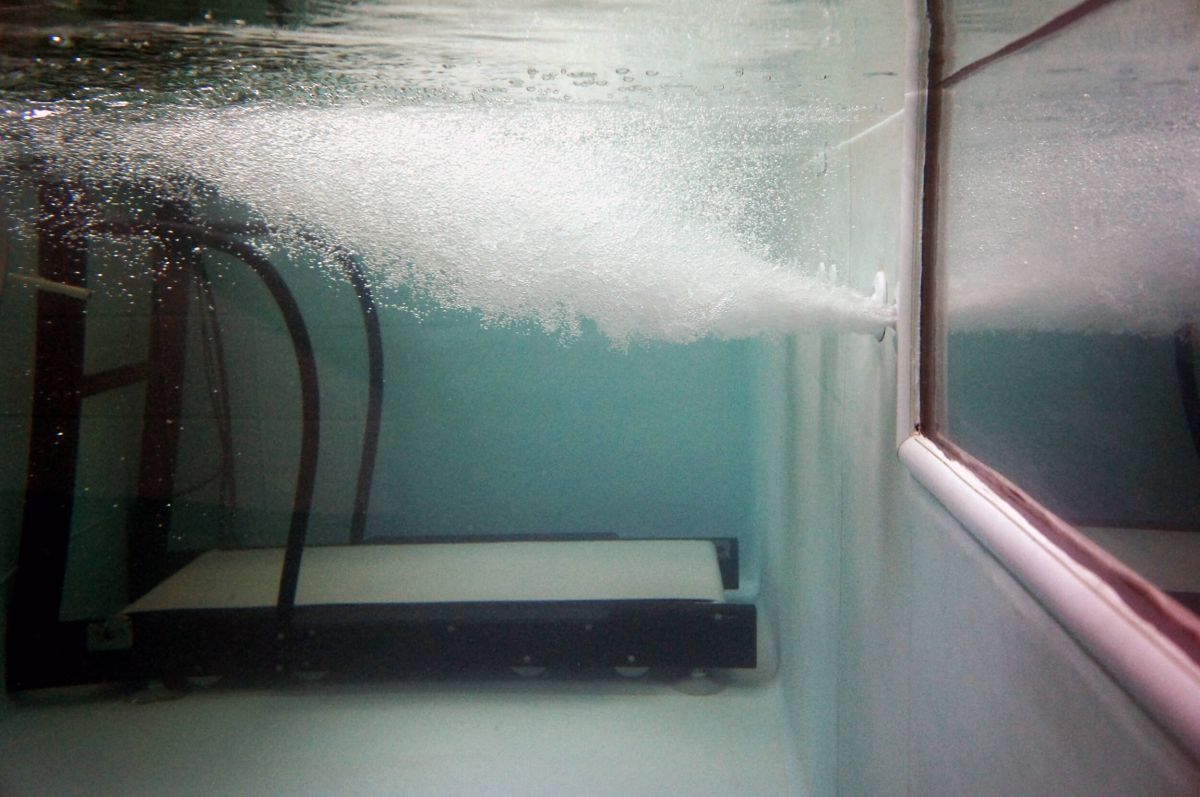A treadmill is underwater in a swimming pool.