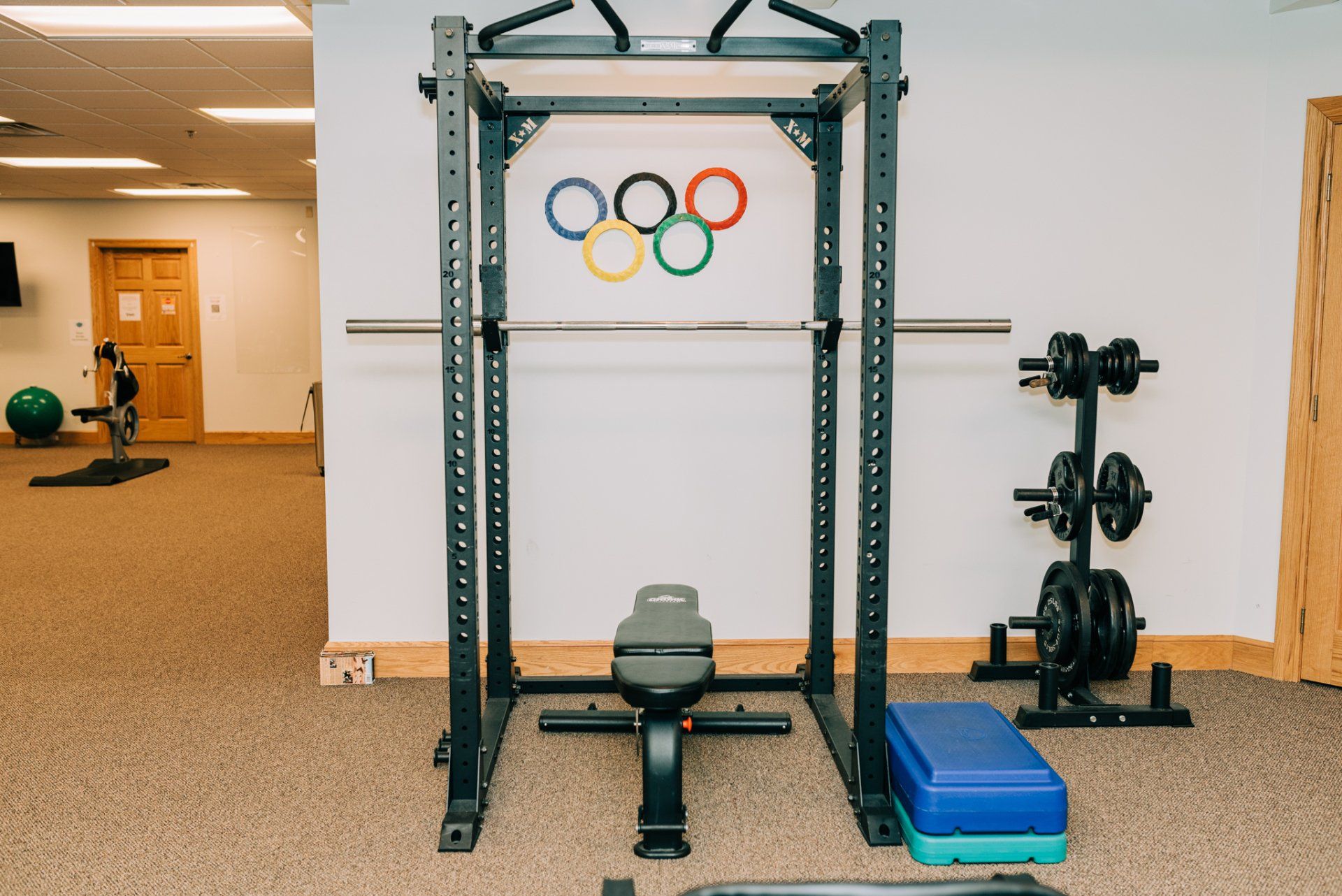 A gym with olympic rings on the wall and a squat rack