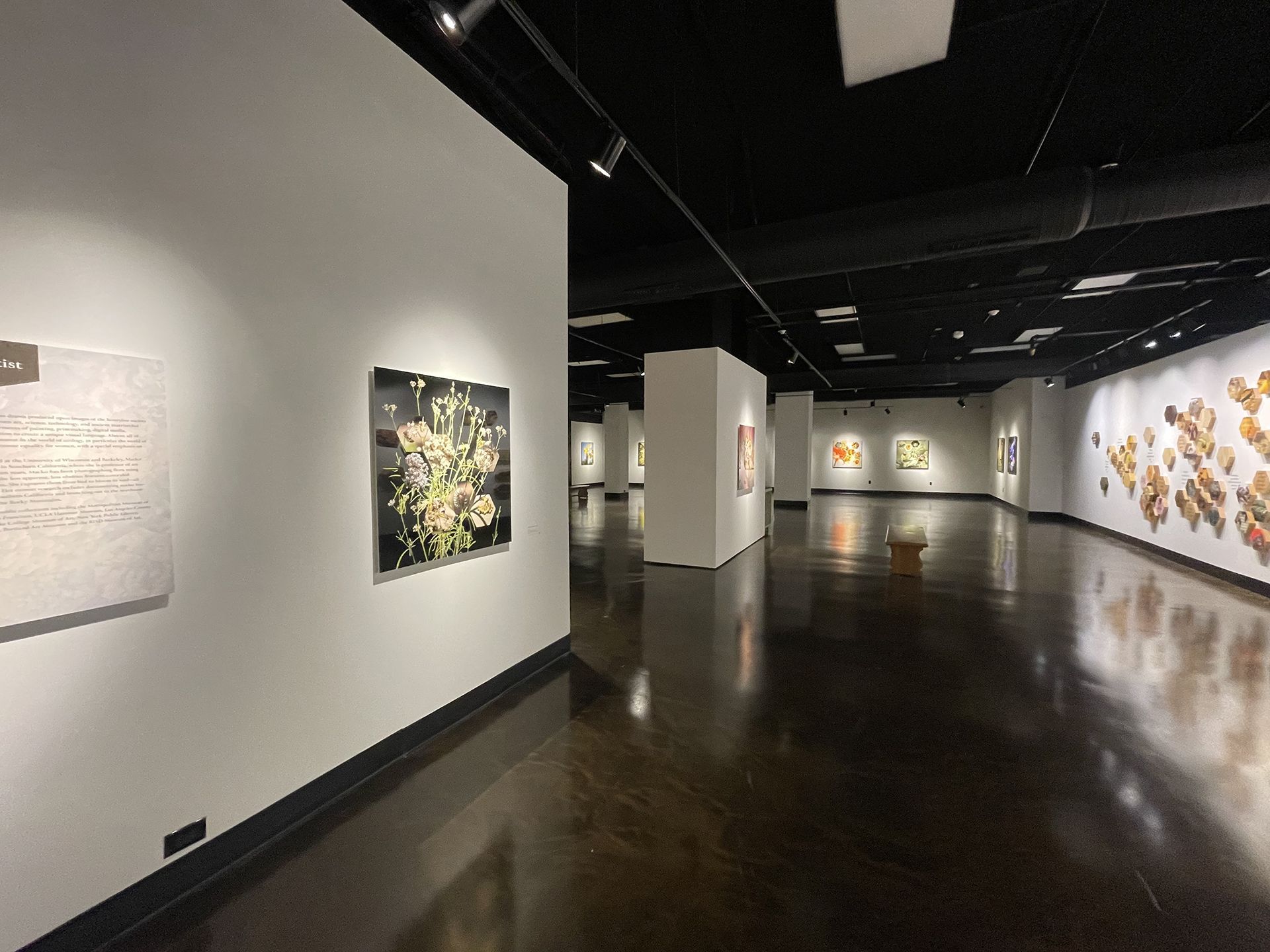 COMMERCIAL INTERIOR