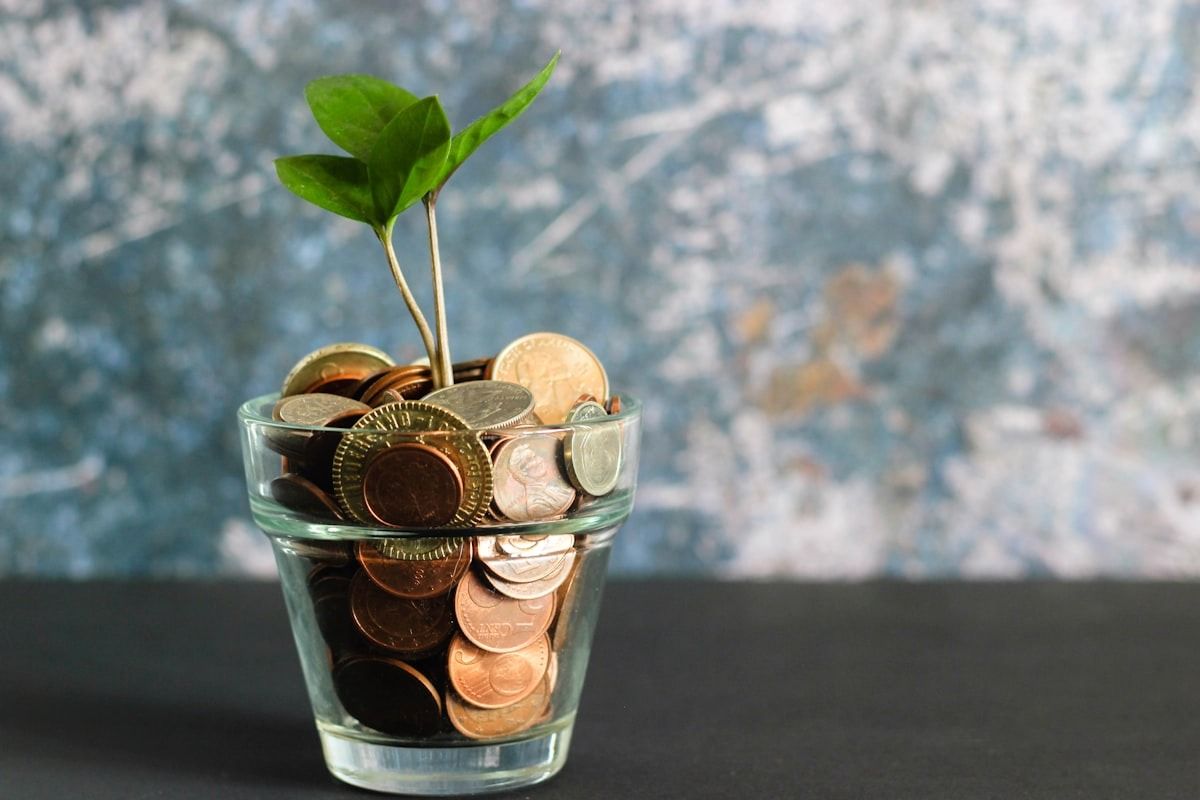 Glass cup filled with coins and a small green plant sprouting from the top