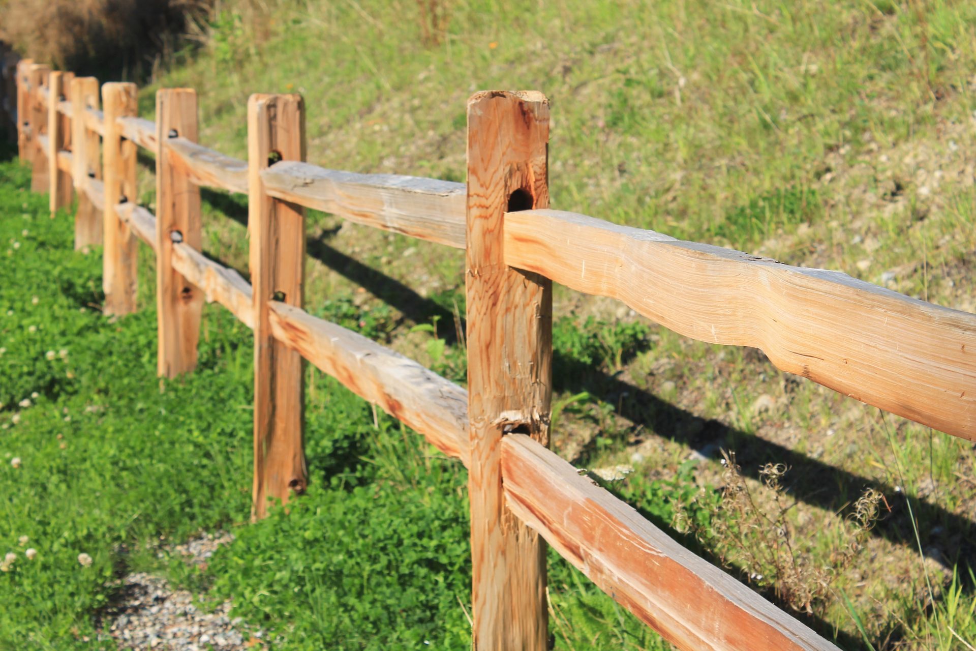 Wooden split-rail fence alongside a grassy area in sunlight. Wooden split-rail fence alongside a grassy area in sunlight.
