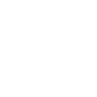 Toilet Toilet