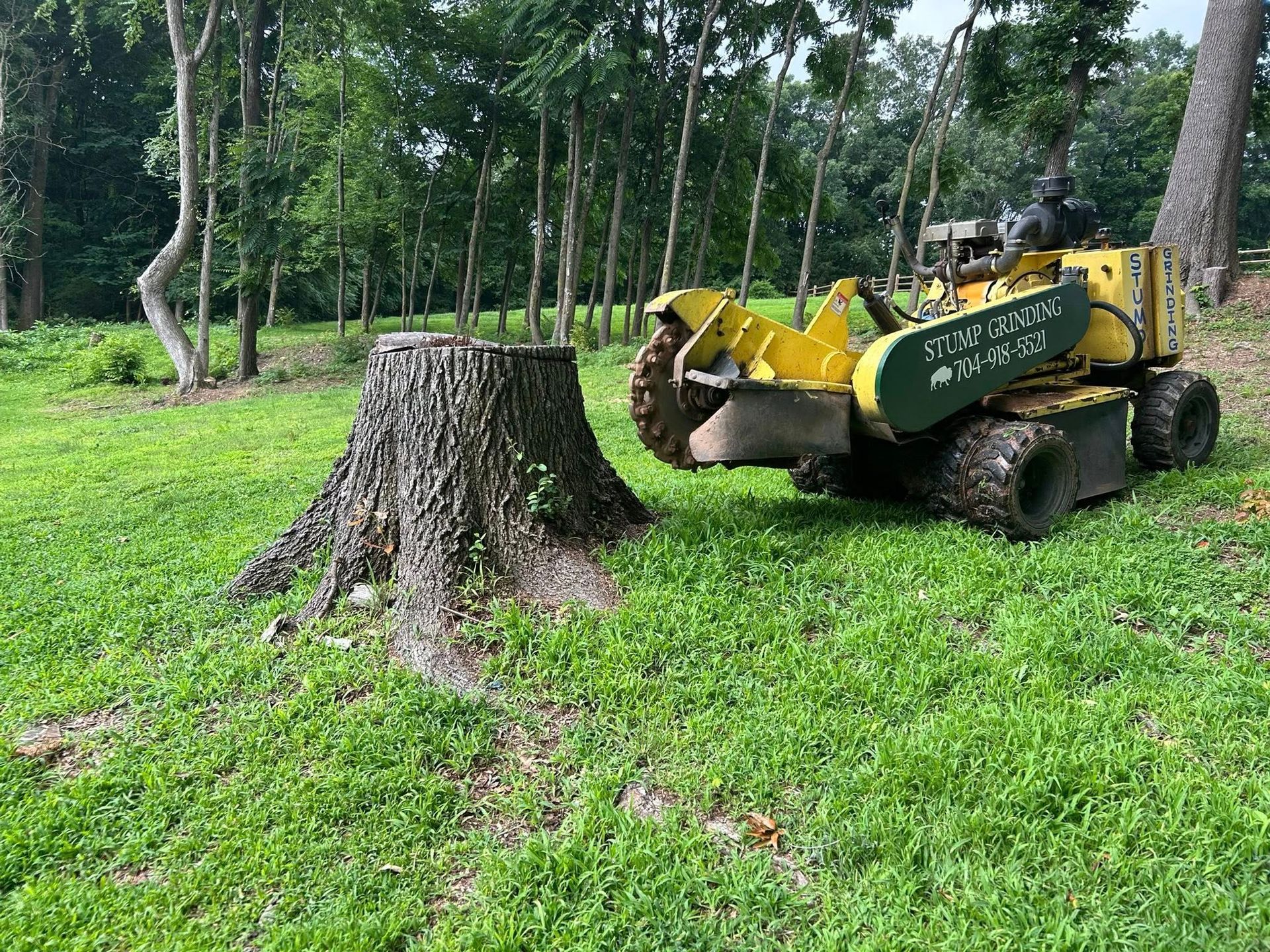 Yellow wood chipper beside a large tree stump in a grassy wooded area