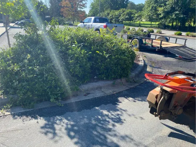Sunny parking lot with a white car, green bushes, and a red hand truck in the foreground