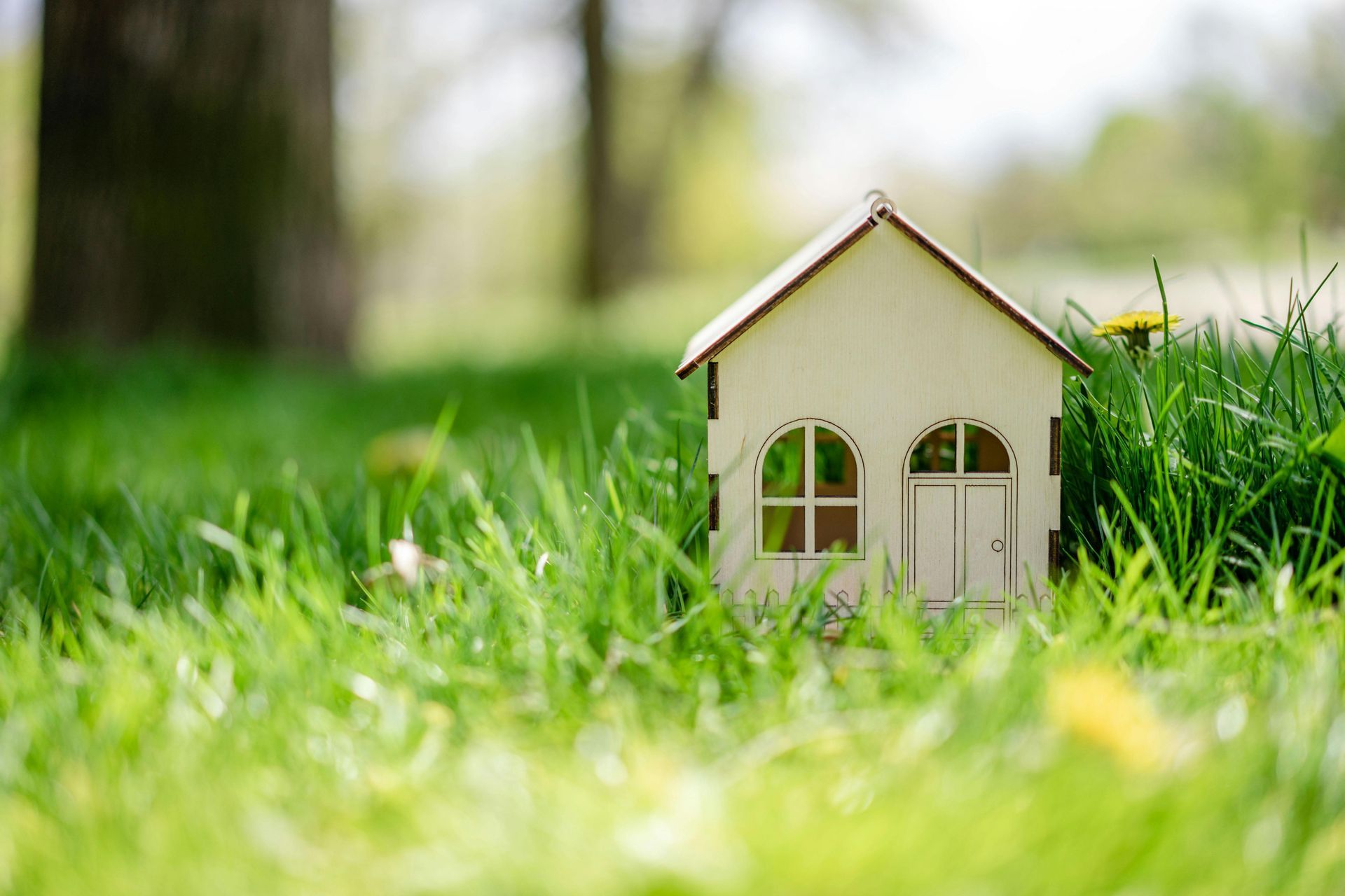 Small white toy house in green grass, with blurred trees in the background