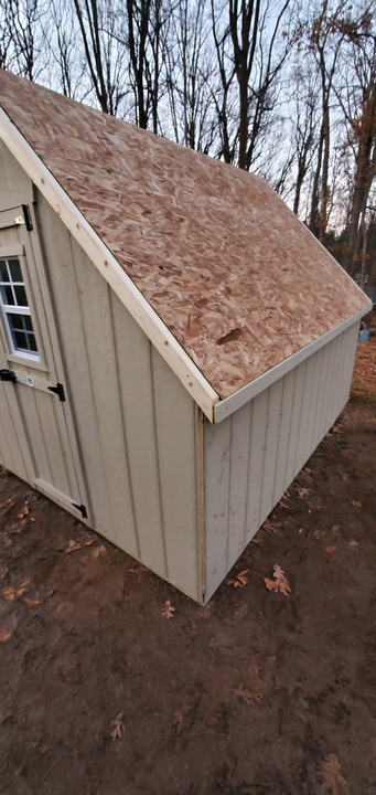 An unfinished tan shed with a wooden OSB roof, set in a wooded area during late afternoon.